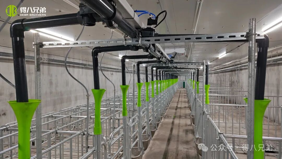 Деба бауырлас Лича қара шошқа өсіру және өсіру демонстрациялық базасы - 2 000 аналық, 50 000 жыл сайынғы сою, 67 000 шаршы метр біріктірілген операциялар